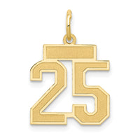 Load image into Gallery viewer, 14k Small Satin Number 25 Charm
