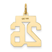 Load image into Gallery viewer, 14k Small Satin Number 26 Charm
