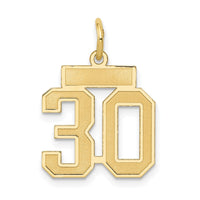 Load image into Gallery viewer, 14k Small Satin Number 30 Charm
