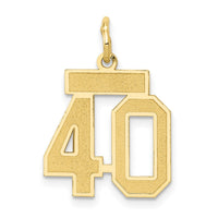 Load image into Gallery viewer, 14k Small Satin Number 40 Charm

