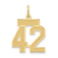 Load image into Gallery viewer, 14k Small Satin Number 42 Charm
