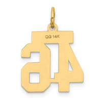 Load image into Gallery viewer, 14k Small Satin Number 46 Charm
