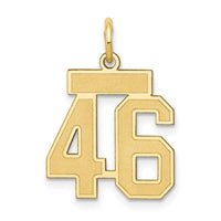 Load image into Gallery viewer, 14k Small Satin Number 46 Charm
