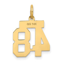 Load image into Gallery viewer, 14k Small Satin Number 48 Charm
