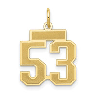 Load image into Gallery viewer, 14k Small Satin Number 53 Charm
