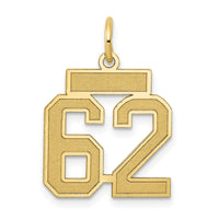 Load image into Gallery viewer, 14k Small Satin Number 62 Charm
