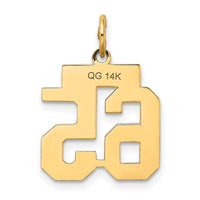 Load image into Gallery viewer, 14k Small Satin Number 65 Charm
