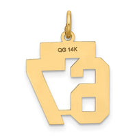 Load image into Gallery viewer, 14k Small Satin Number 67 Charm
