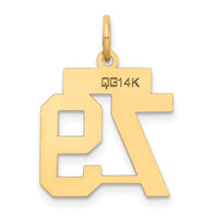 Load image into Gallery viewer, 14k Small Satin Number 79 Charm
