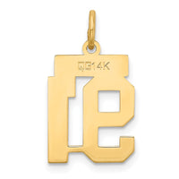 Load image into Gallery viewer, 14k Small Satin Number 91 Charm
