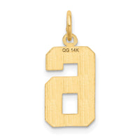 Load image into Gallery viewer, 14k Medium Diamond-cut Number 6 Charm
