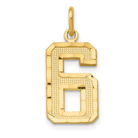 Load image into Gallery viewer, 14k Medium Diamond-cut Number 6 Charm
