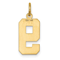 Load image into Gallery viewer, 14k Medium Diamond-cut Number 9 Charm
