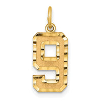 Load image into Gallery viewer, 14k Medium Diamond-cut Number 9 Charm
