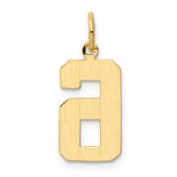 Load image into Gallery viewer, 14k Medium Polished Number 6 Charm
