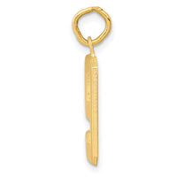 Load image into Gallery viewer, 14k Medium Polished Number 9 Charm
