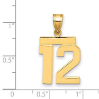 Load image into Gallery viewer, 14k Medium Polished Number 12 Charm
