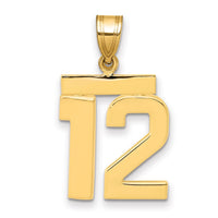 Load image into Gallery viewer, 14k Medium Polished Number 12 Charm
