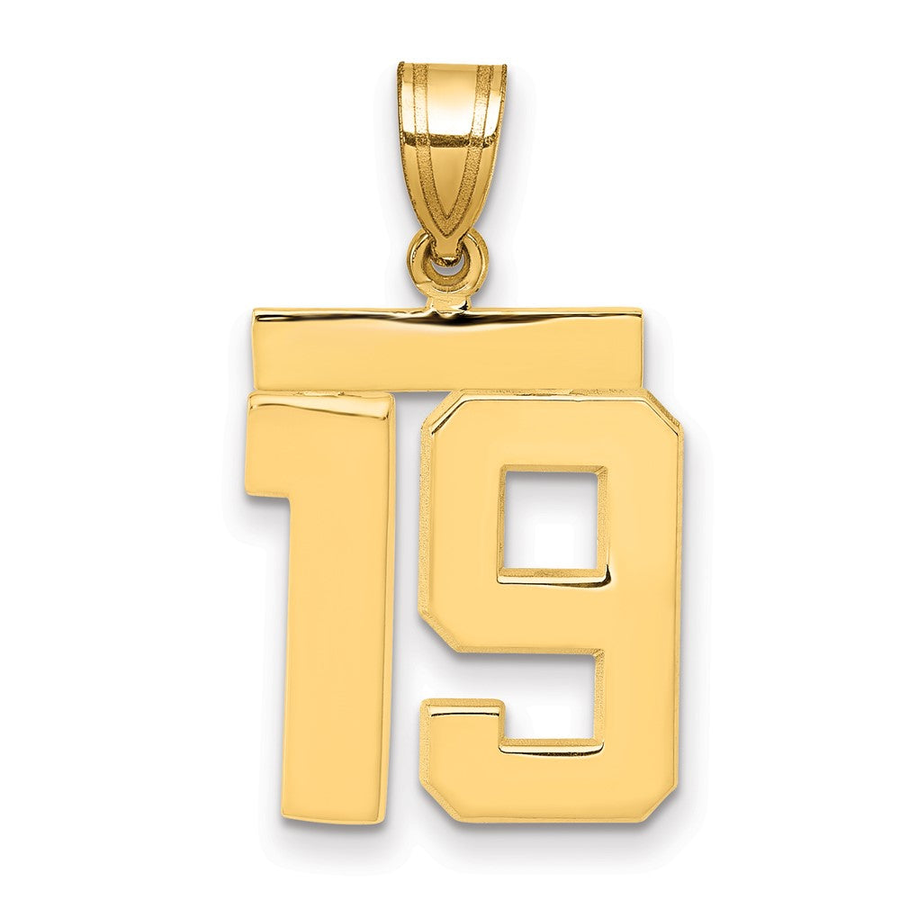 14k Medium Polished Number 19 Charm