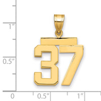 Load image into Gallery viewer, 14k Medium Polished Number 37 Charm
