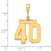 Load image into Gallery viewer, 14k Medium Polished Number 40 Charm
