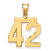 Load image into Gallery viewer, 14k Medium Polished Number 42 Charm

