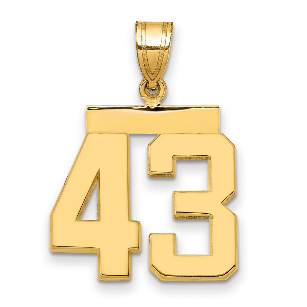 14k Medium Polished Number 43 Charm