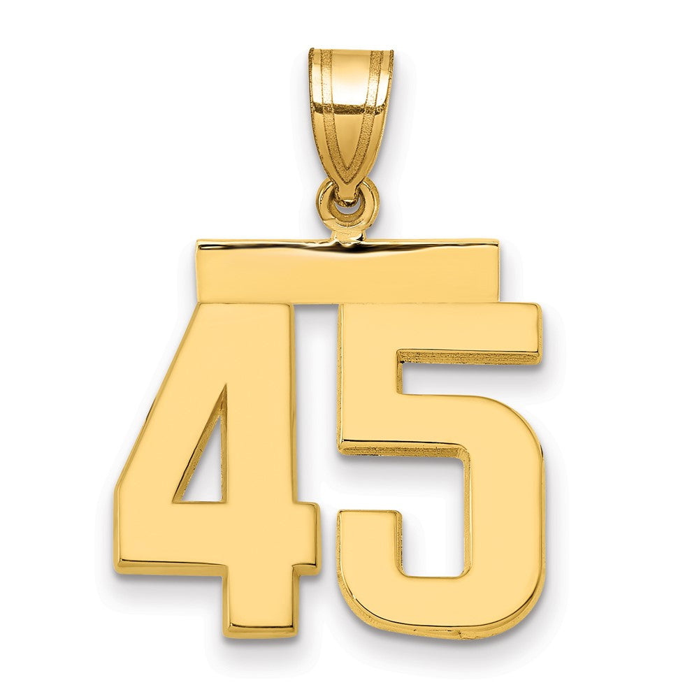14k Medium Polished Number 45 Charm
