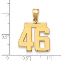 Load image into Gallery viewer, 14k Medium Polished Number 46 Charm

