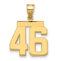 Load image into Gallery viewer, 14k Medium Polished Number 46 Charm
