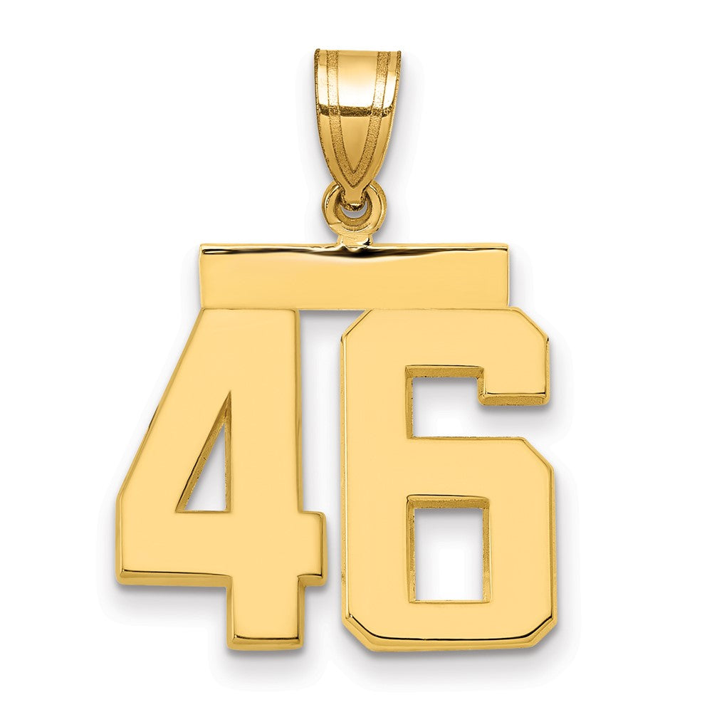 14k Medium Polished Number 46 Charm