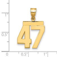 Load image into Gallery viewer, 14k Medium Polished Number 47 Charm
