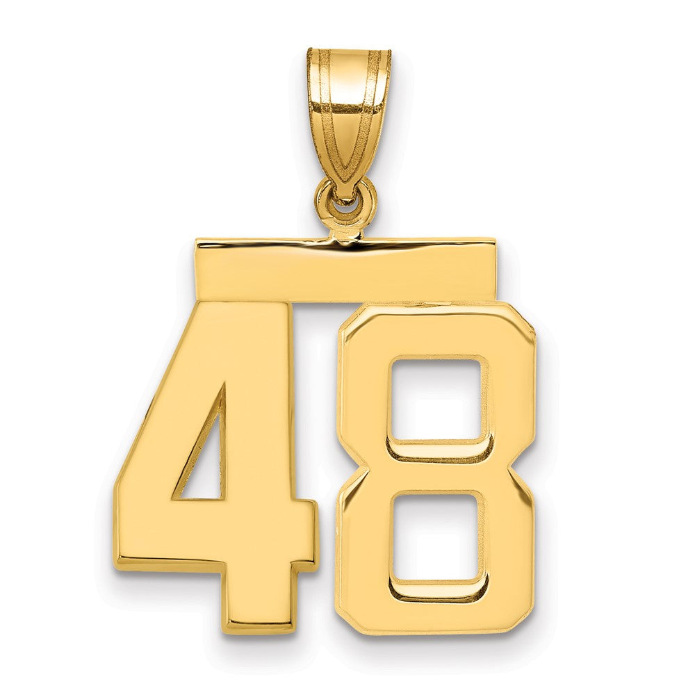 14k Medium Polished Number 48 Charm