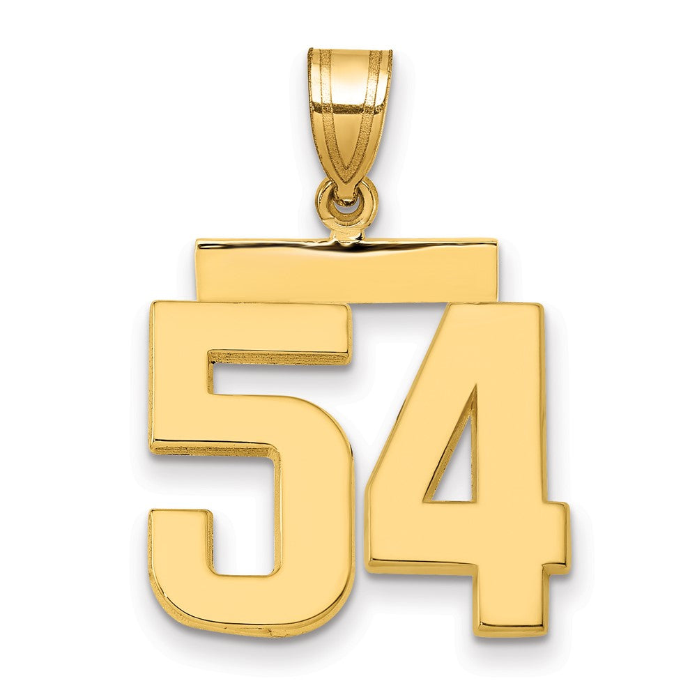 14k Medium Polished Number 54 Charm