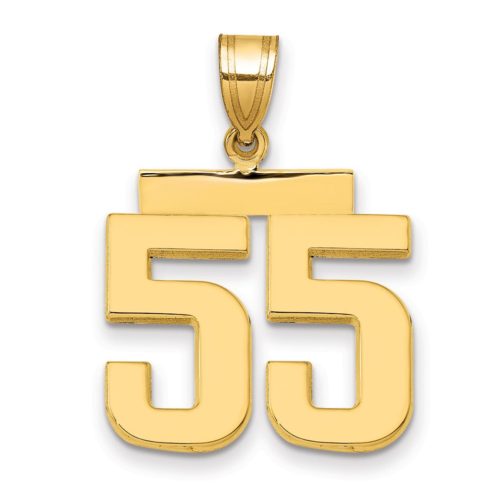 14k Medium Polished Number 55 Charm