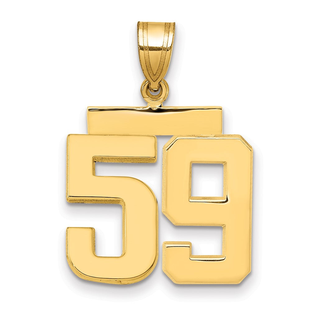 14k Medium Polished Number 59 Charm