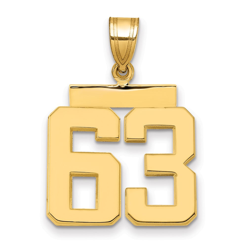 14k Medium Polished Number 63 Charm
