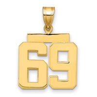 Load image into Gallery viewer, 14k Medium Polished Number 69 Charm
