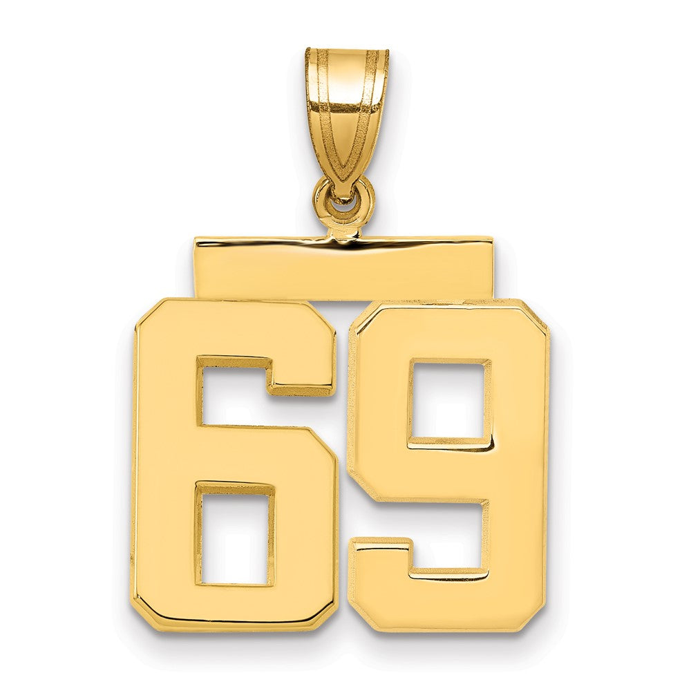 14k Medium Polished Number 69 Charm