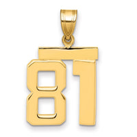 Load image into Gallery viewer, 14k Medium Polished Number 81 Charm
