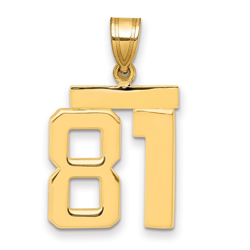 14k Medium Polished Number 81 Charm