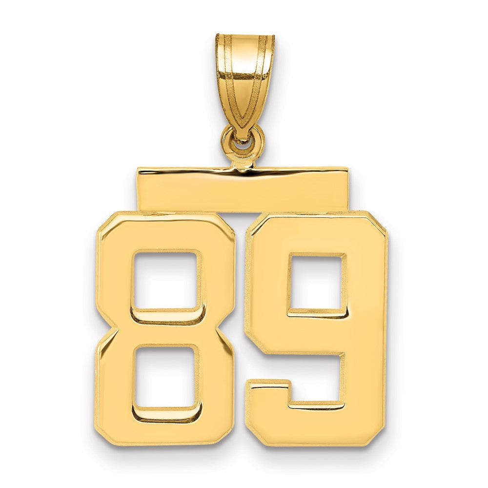 14k Medium Polished Number 89 Charm