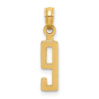 Load image into Gallery viewer, 14k Polished Number 9 Pendant
