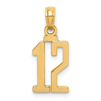 Load image into Gallery viewer, 14k Polished Number 12 Pendant
