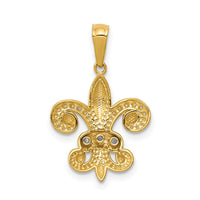 Load image into Gallery viewer, 14k w/Rhodium Polished Diamond Fleur de Lis Pendant
