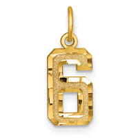 Load image into Gallery viewer, 14k Small Brushed Diamond-cut Number 6 Charm
