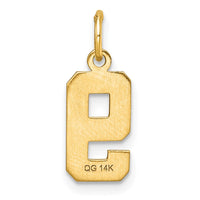 Load image into Gallery viewer, 14k Small Brushed Diamond-cut Number 9 Charm
