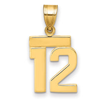 Load image into Gallery viewer, 14k Small Polished Number 12 Charm
