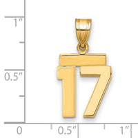 Load image into Gallery viewer, 14k Small Polished Number 17 Charm
