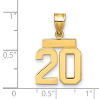 Load image into Gallery viewer, 14k Polished Small Number 20 Charm
